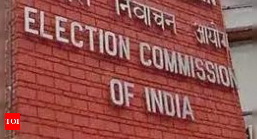 ECI team reviews special summary revision | Ludhiana News ECI team reviews special summary revision | Ludhiana News
