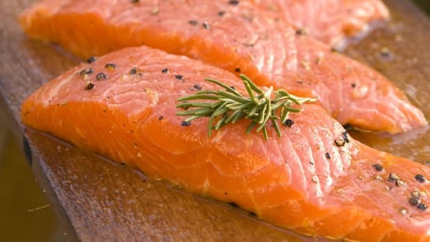 AquaBounty cutting ‘substantially all’ staff, plans to shut down P.E.I. salmon hatchery