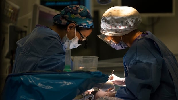 भोजन में नमक से लेकर भुगतान करने के लिए: यहां ओटावा के पास आपके स्वास्थ्य की बात आने पर शक्ति है भोजन में नमक से लेकर भुगतान करने के लिए: यहां ओटावा के पास आपके स्वास्थ्य की बात आने पर शक्ति है