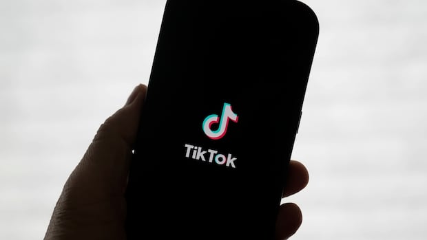 Tiktok बिक्री के लिए समय सीमा 75 दिनों तक बढ़ाई गई, क्योंकि ट्रम्प चीन के साथ काम करने की प्रतिज्ञा करते हैं