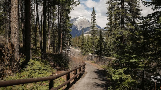 Best finance officials of G7 international locations accumulate in BANFF for 3-day summit Best finance officials of G7 international locations accumulate in BANFF for 3-day summit