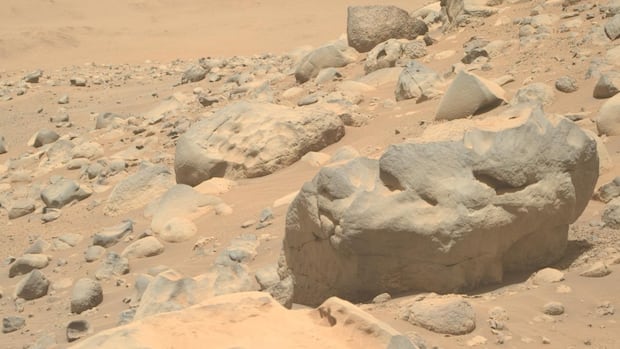 With uncertainty round lifestyles on Mars, human journeys be offering an ethical catch 22 situation With uncertainty round lifestyles on Mars, human journeys be offering an ethical catch 22 situation