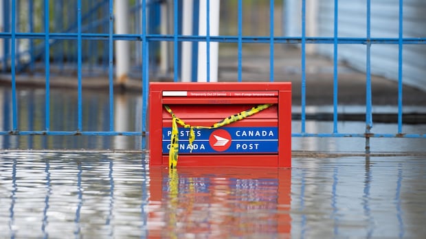 Canada Publish studies $ 1.3B running loss with a decline in each letters and parcel earnings Canada Publish studies $ 1.3B running loss with a decline in each letters and parcel earnings
