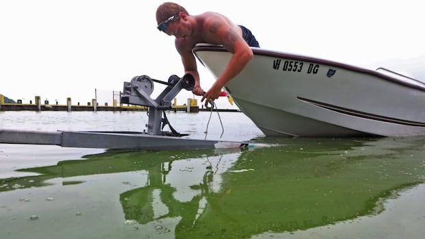 How an American climate company ‘Do-It-Khud’ lake Eri algae tries to struggle bloom forecast How an American climate company ‘Do-It-Khud’ lake Eri algae tries to struggle bloom forecast