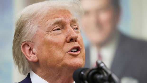 US Attraction Courtroom says Trump can acquire price lists – for now
