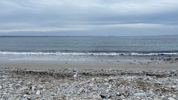 Phytoplinkton, key to Ocean Life, 2% fall per year in North Atlantic Phytoplinkton, key to Ocean Life, 2% fall per year in North Atlantic