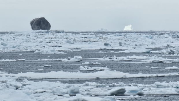 The rare black iceberg exiting the Labrador Coast may be 100,000 years old, says Pro says The rare black iceberg exiting the Labrador Coast may be 100,000 years old, says Pro says