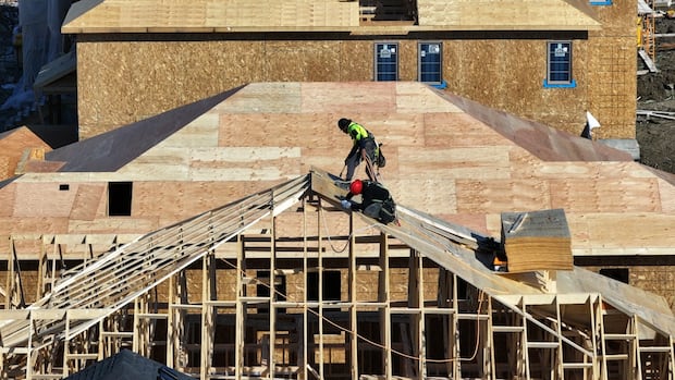 CMHC says that 4.8 meters of new houses should be built in the next 10 years. CMHC says that 4.8 meters of new houses should be built in the next 10 years.