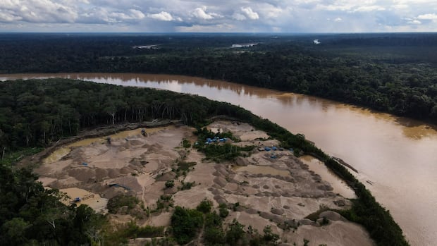 About 80 percent of villagers found in mercury poisoning recent studies in Amazon, Peru