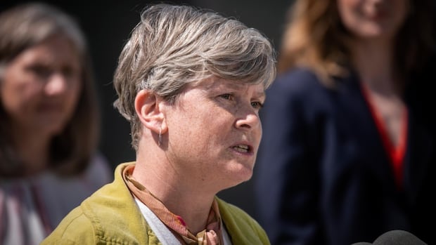 BC to open 18 long -term involuntary care beds in Metro Vancouver