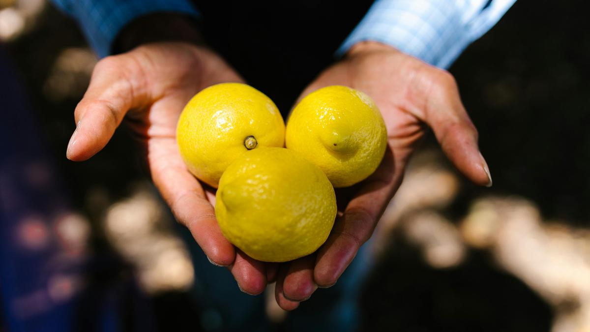 Historically, does life really give us lemon?
