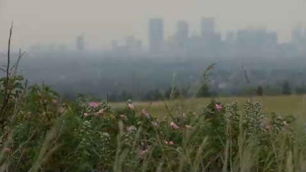 Wildfier smoke carries short and long -term health risks, Alberta specialist warns Wildfier smoke carries short and long -term health risks, Alberta specialist warns