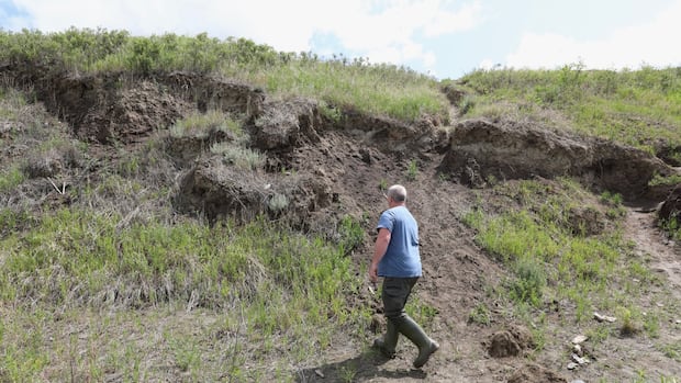 Ancient Suskechewan archaeological site is a victim of illegal manual scavenging Ancient Suskechewan archaeological site is a victim of illegal manual scavenging