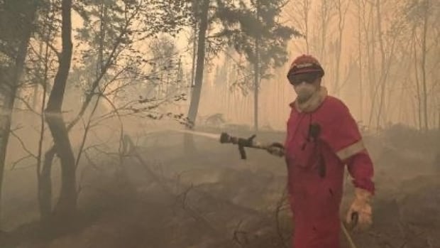 Researchers back back, then re -publish the study connecting wildfire smoke and dementia. Researchers back back, then re -publish the study connecting wildfire smoke and dementia.