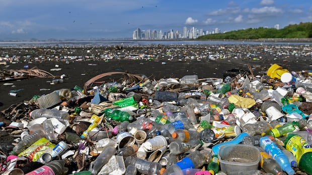Plastic pollution is still a problem. A United Nations meeting in Geneva is hoping to change it