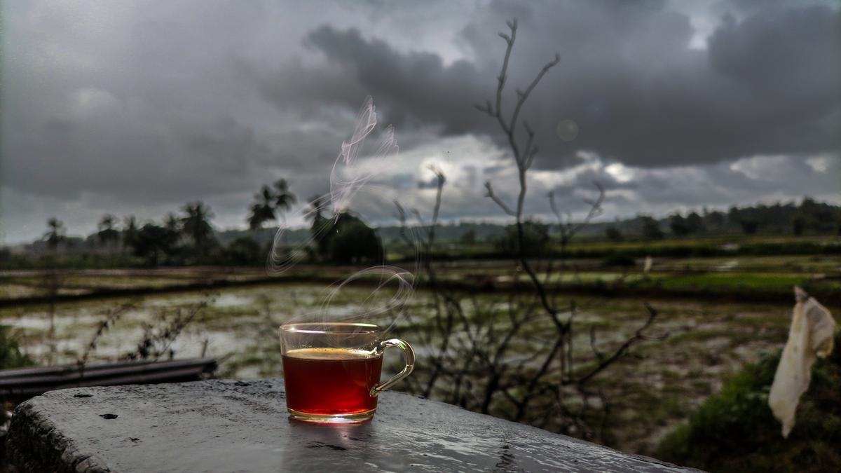 Pajam Pori, Kongi, Black Pepper Rasam: Indian Chef on your favorite dishes for monsoon