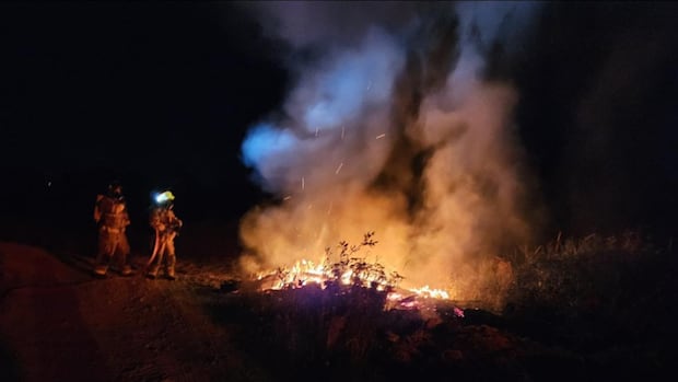 Climate change ‘determines the phase for more extreme fire behavior,’ the researcher says