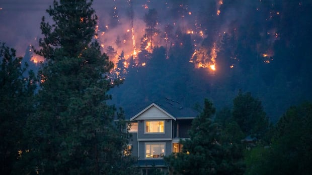 How to prepare effectively for the evacuation of a forest fire