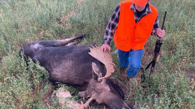 Sansk. Applying compulsory CWD and bovine TB test in select zones for the upcoming hunting season